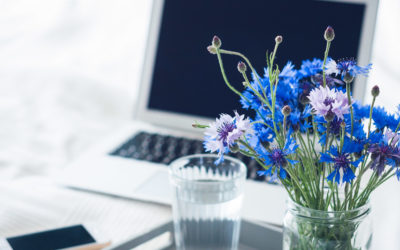 Home Office im Sommer: 9 Überlebens-Tipps