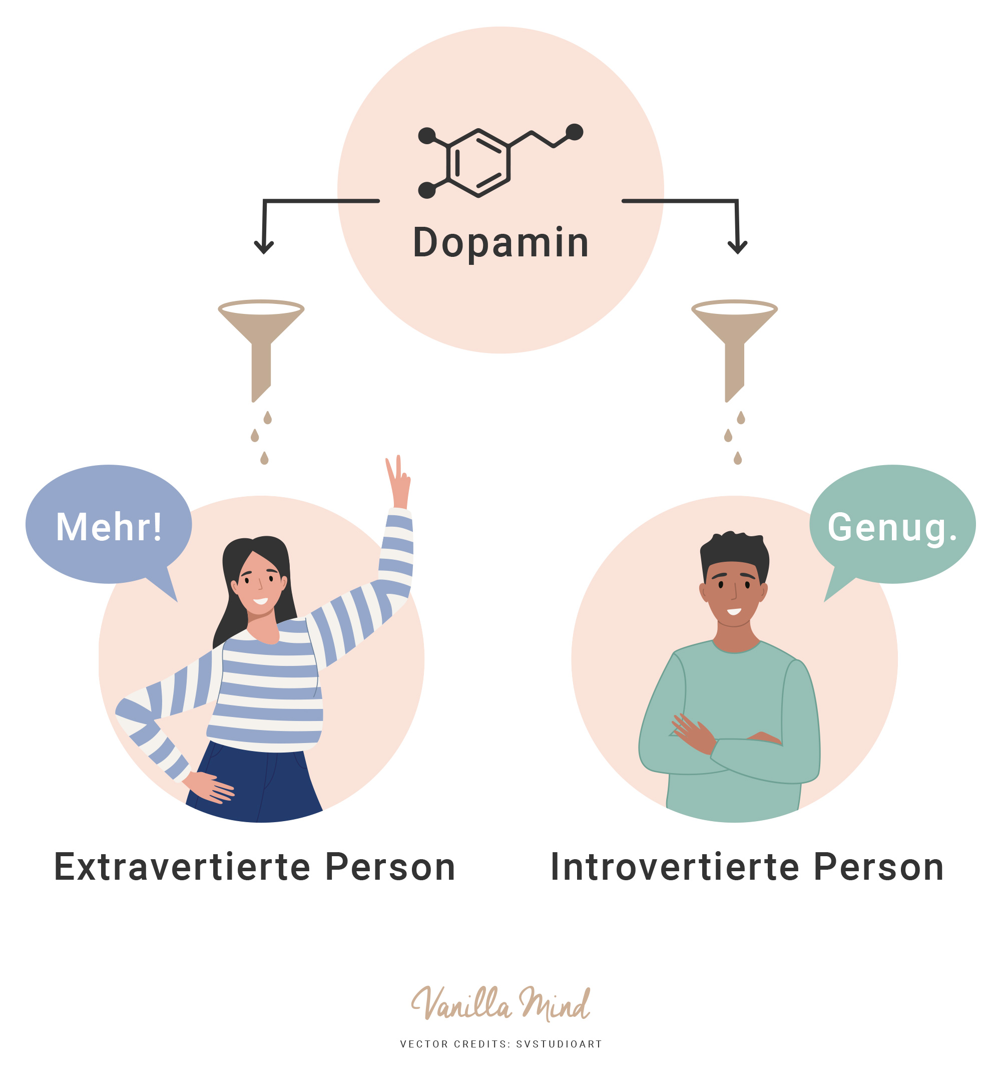 Einer der Hauptunterschiede zwischen introvertierten und extrovertierten Gehirnen scheint zu sein, wie sie auf den Neurotransmitter Dopamin reagieren. Studien deuten darauf hin, dass Menschen mit einem höheren Maß an Extravertiertheit anders auf Dopamin reagieren als Introvertierte. Dopamin kennen wir umgangssprachlich als Glückshormon. Es trägt dazu bei, dass wir guter Stimmung sind und uns in unserem Element fühlen.