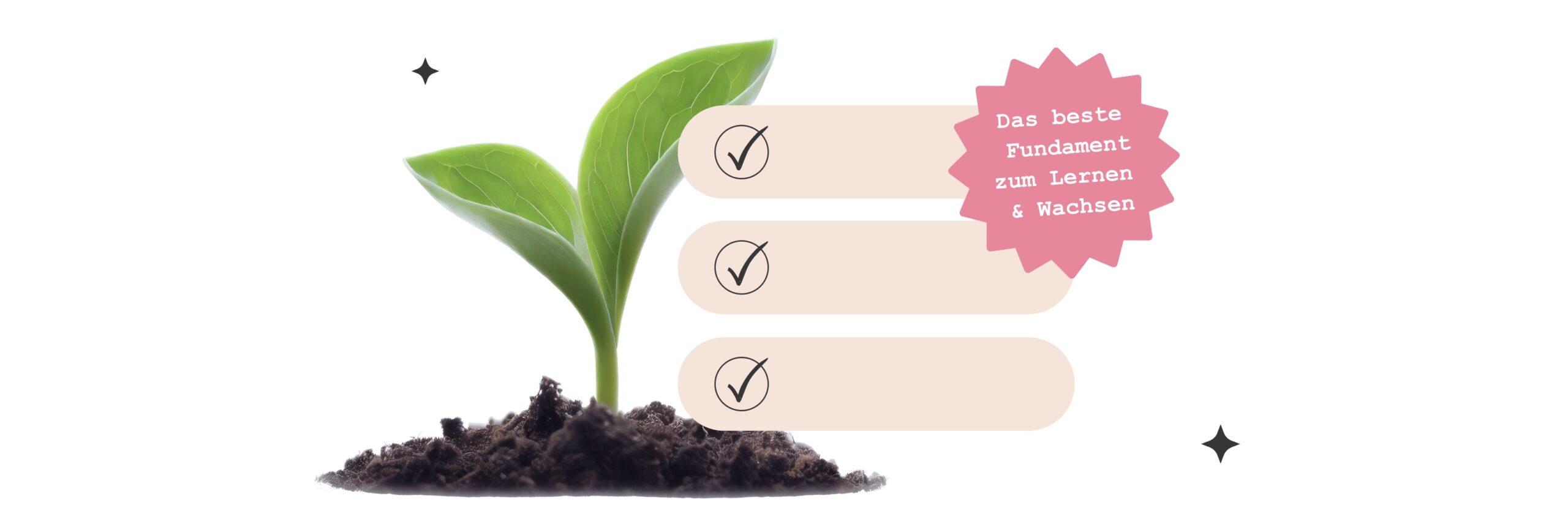 lernen und wachsen lernen und wachsen