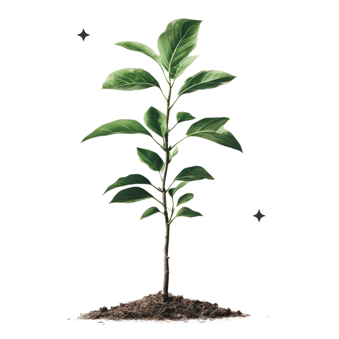 Timon und Melina Royer arbeiten als systemische Business Coaches und Stärkencoaches für introvertierte Unternehmer:innen, Fach- und Führungskräfte. Als Hosts des erfolgreichen YouTube-Podcasts Still & Stark vermitteln sie ein neues, unerschütterliches Selbstvertrauen: „Erfolg muss nicht laut sein!“